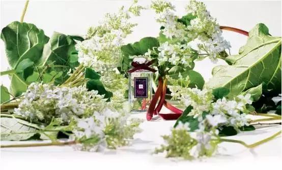 从大牌到平价15款最爱的香水推荐,经典香水推荐平价秋冬