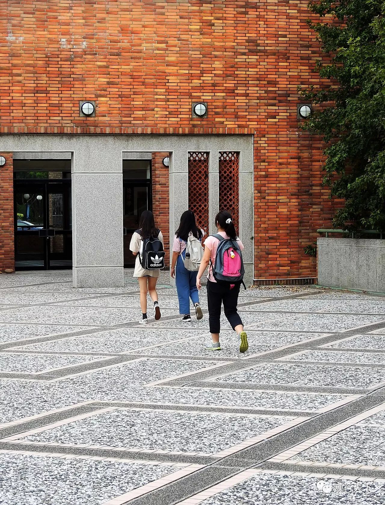 这所大学很特别,来的人都会找到逝去的校园爱情故事