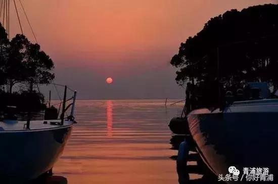 青浦17号线最好地段,青浦17号线起始时间