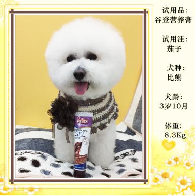 你不知道的狗的那些秘密,狗狗的营养膏是什么做的