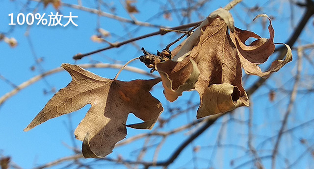 红米5PLUS整体评价怎么样,红米5plus2019年值得购买吗