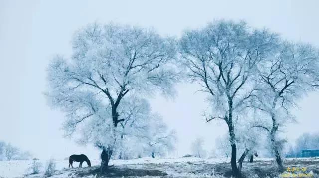 2018一个人的旅行,2018年等一个人陪我一起去西藏