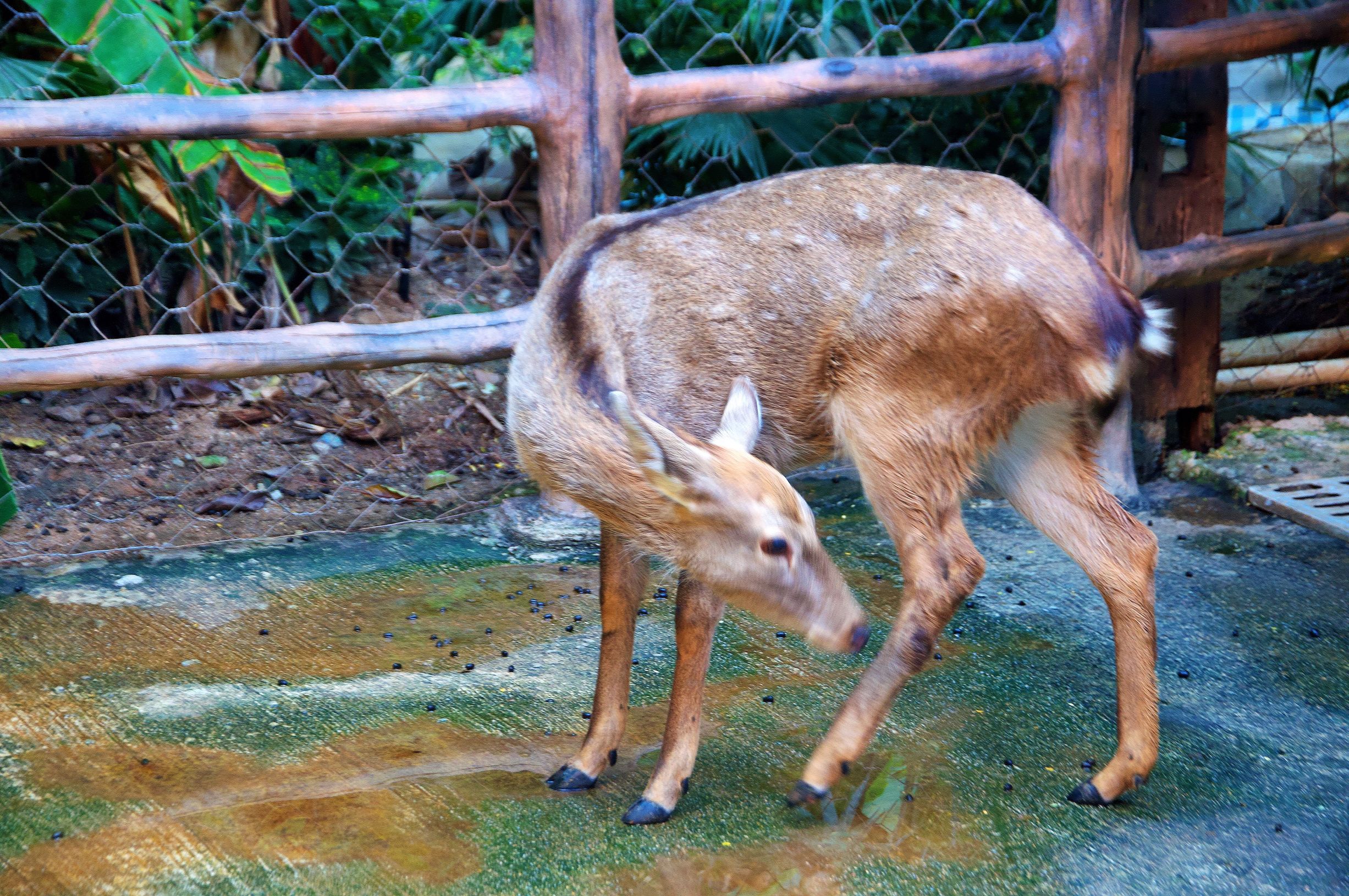 三亚4天3晚海景推荐,颠覆你对海南印象