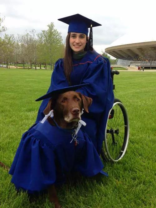 养了狗以后总破财,养了狗才知道没那么简单