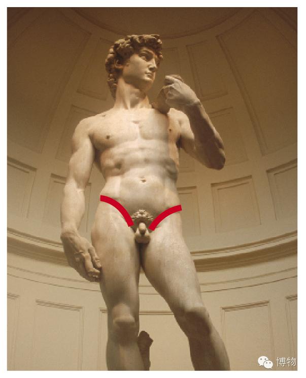 人鱼马甲两条线,人鱼线马甲线