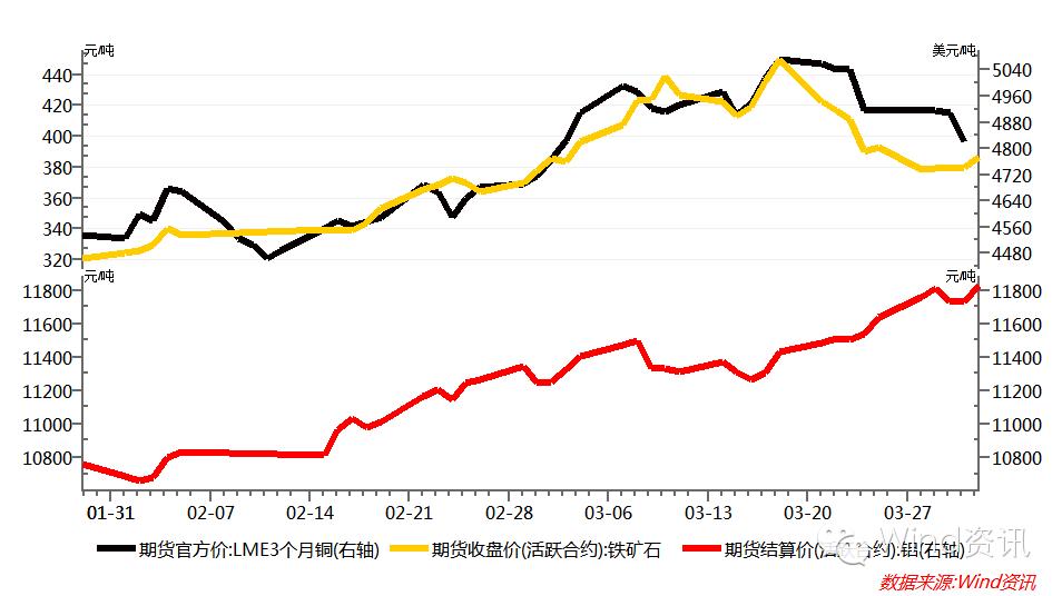鹰鸽的分类图解,中国鹰鸽图文