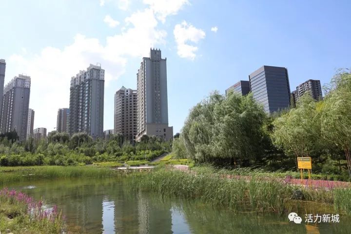 生活变得越来越好越来越幸福,以后你的生活顺风顺水