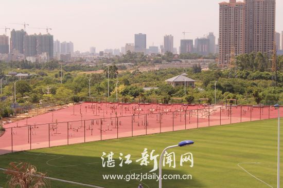 湛江体育中心全景,体育场馆智慧化设施