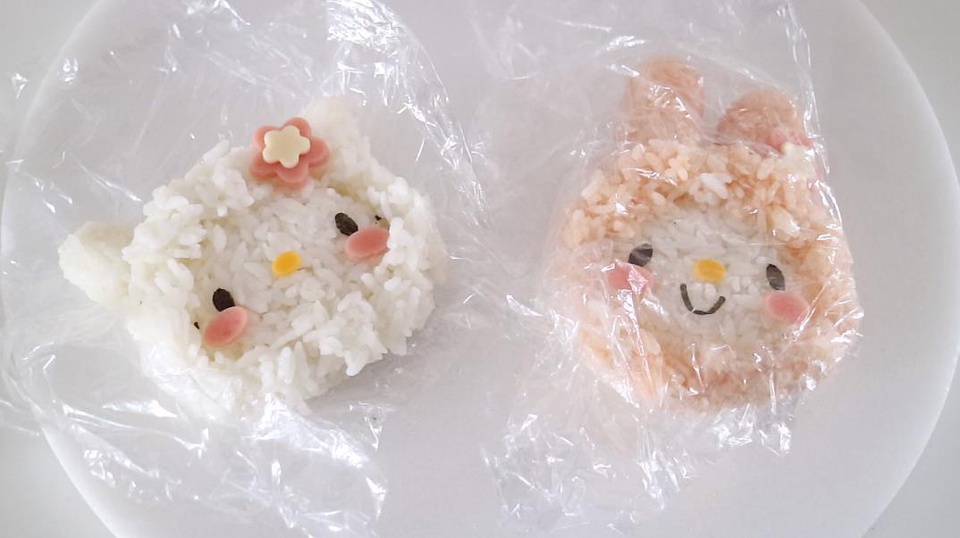 制作日本小学生的便当,日本小学生自制便当好看