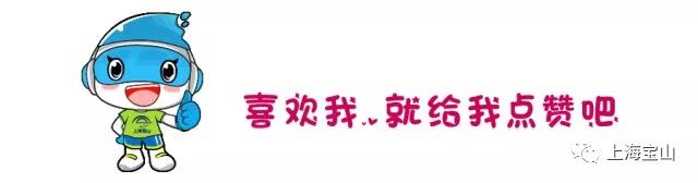 宝山邮轮滨江带免费,宝山邮轮未来发展趋势