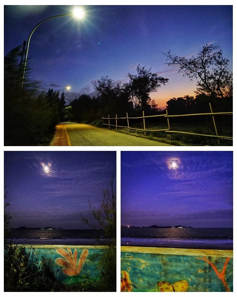 东山岛国际半程马拉松,东山岛马拉松完整版