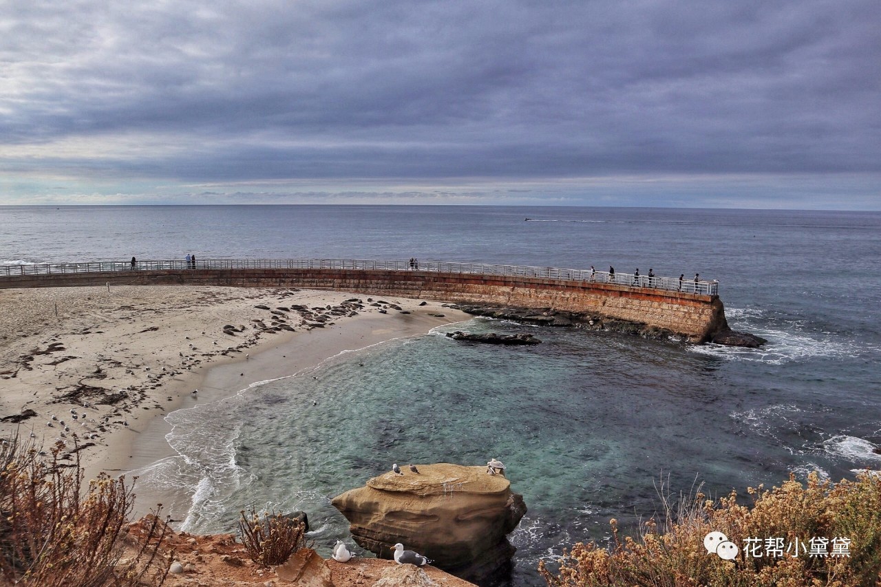 时髦旅拍神器|玩转美国这个城市看这一篇就够了私房路线干货