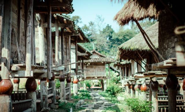 黔南原始森林风景,遇见森林风景