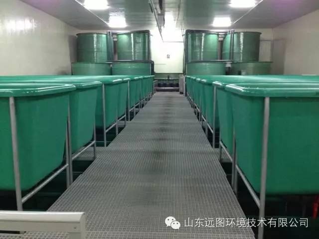 最新循环水养殖,循环水养殖系统图片大全集