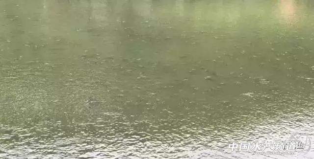 养殖水浓用什么药好,养殖水硬度高有什么好处