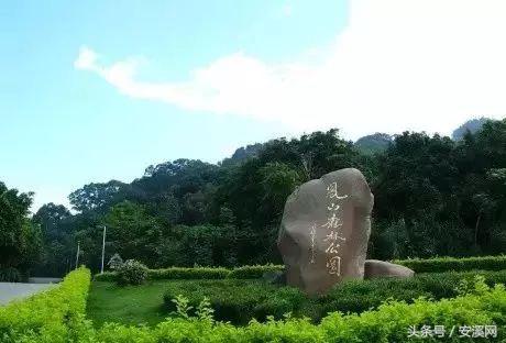 厦沙高速安溪最新消息,厦沙高速公路泉州段