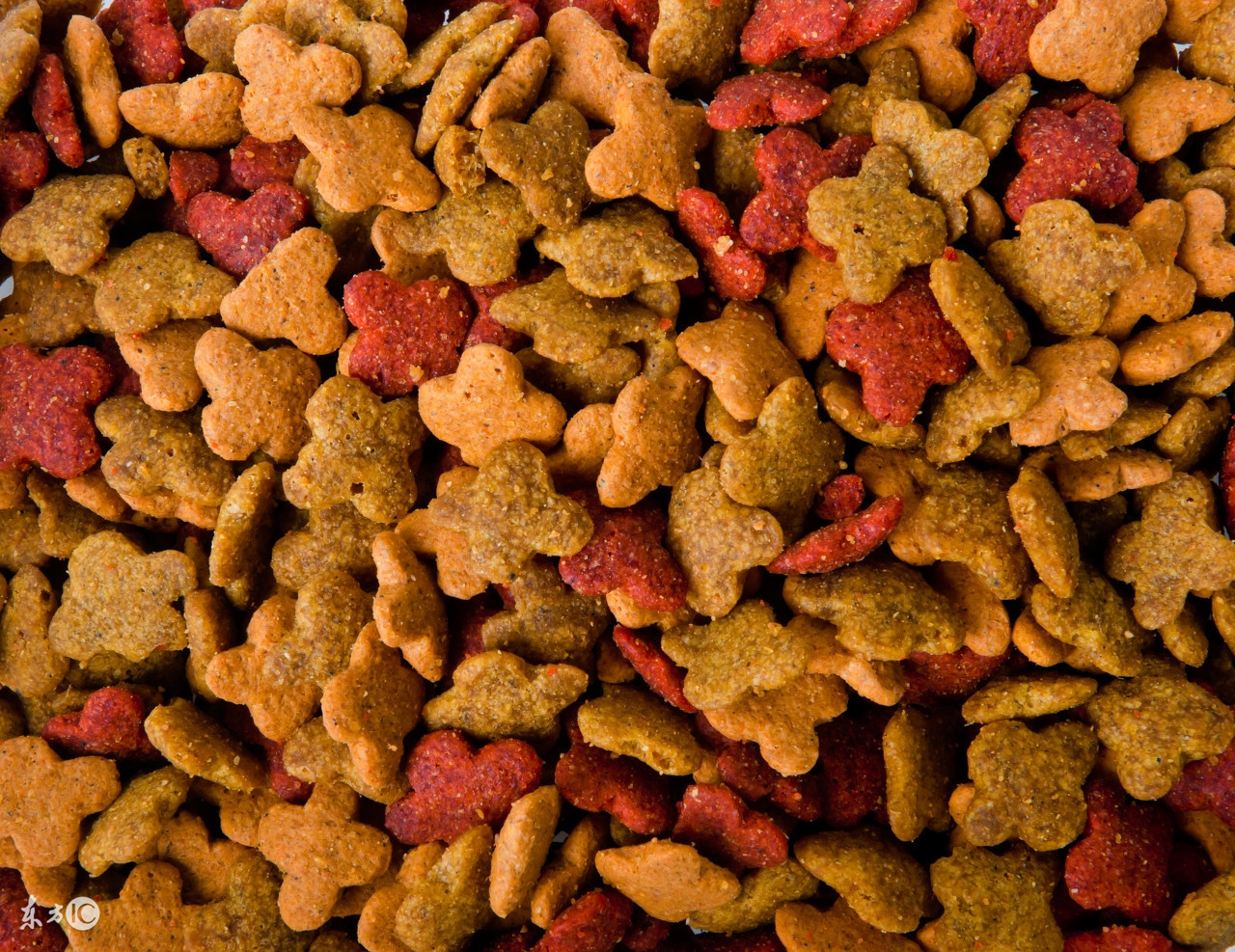 四种猫粮不要吃,家里有几种猫粮可以混着吃吗