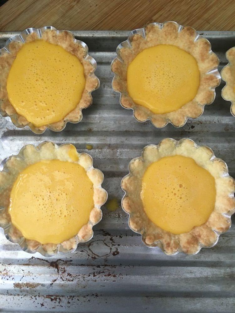 蓝莓奶酪挞各种做法,学做软心芝士挞