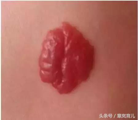 你见或者不见出自哪里,你见或不见它就在这里