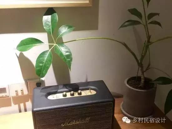 愿春风托信，寄你一笺山盟——杭州山舍