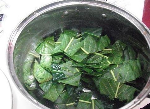 宝宝喉咙有痰，咳嗽太难受睡不着？几片叶子煮碗水，不再复发！