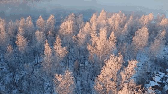 逊克雾凇美景,黑河市大平台雾凇旅游攻略