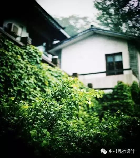 愿春风托信，寄你一笺山盟——杭州山舍