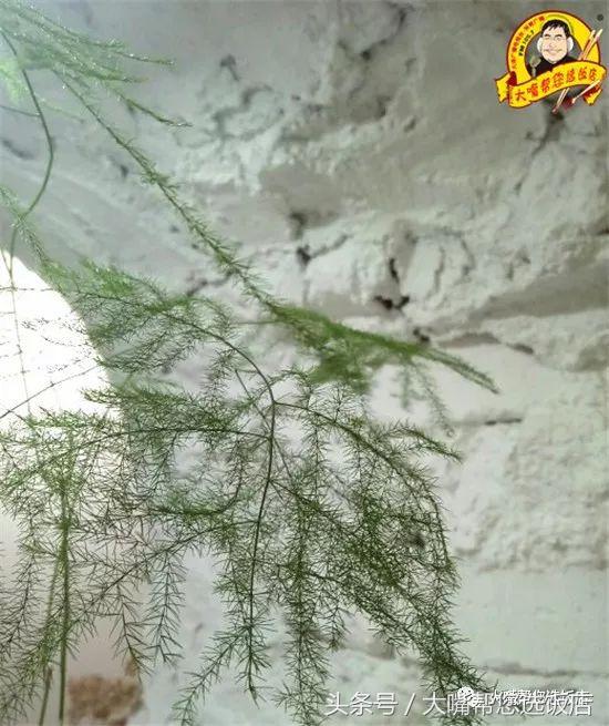 每日一杯好喝的咖啡,简单好喝的手冲咖啡方式