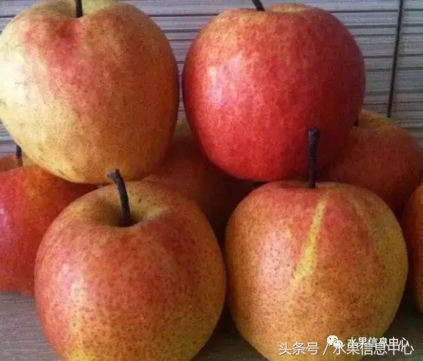 什么品种的梨子又大又甜水分又多,水果梨子产地