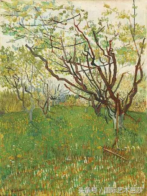 100多年后梵高的谜底终于揭晓,神秘博士穿越到梵高的时代