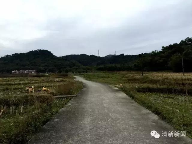 清远龙颈钟家村,龙颈镇钟家村