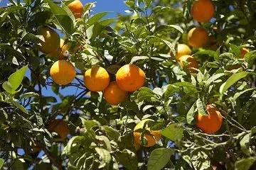 宁乡你不知道的地方,宁乡的特色有什么