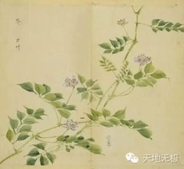 简兮感情戏,简兮最佳女主角