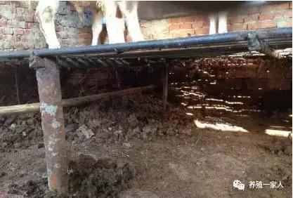 养牛漏粪板的规格和价格,养牛场漏粪板视频