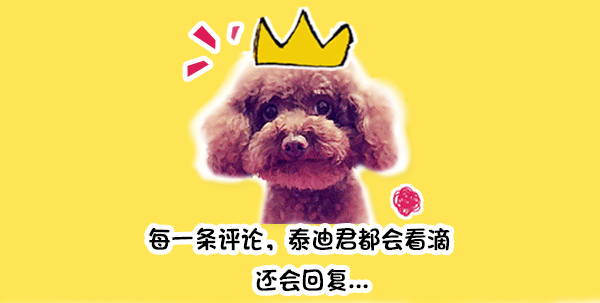 小男孩的最佳足球玩伴竟是一只喵星人！