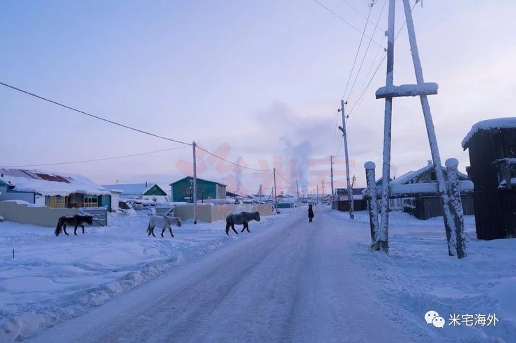 零下60多度农村怎么生活,俄罗斯西伯利亚最冷村庄零下70度