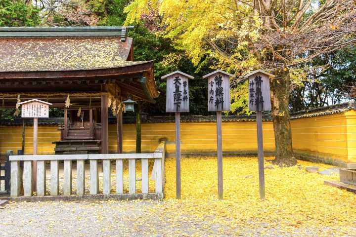 吃日料还是要去日本,吃日料送老字号