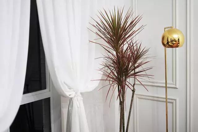 超浪漫古典的民宿,山景浪漫的民宿