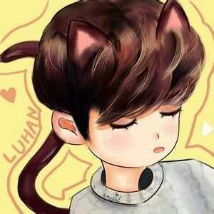 突然明白为啥这么多人喜欢鹿晗了,对鹿晗的看法和感受