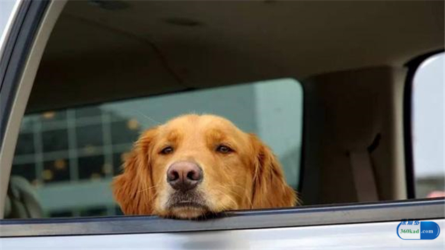 晕车的人用什么药效果最好用,晕车特别严重的人吃什么药