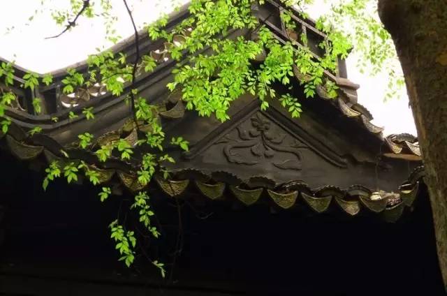 名人读书故事成语,历史故事四字词语成语大全