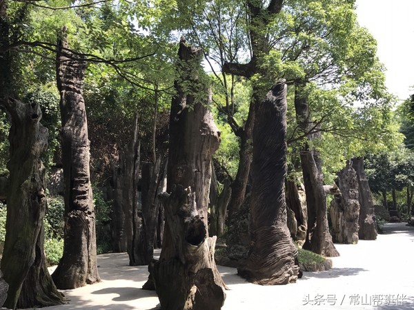 今年开化根宫佛国开化人免门票吗,衢州市开化根宫佛国文化旅游景区