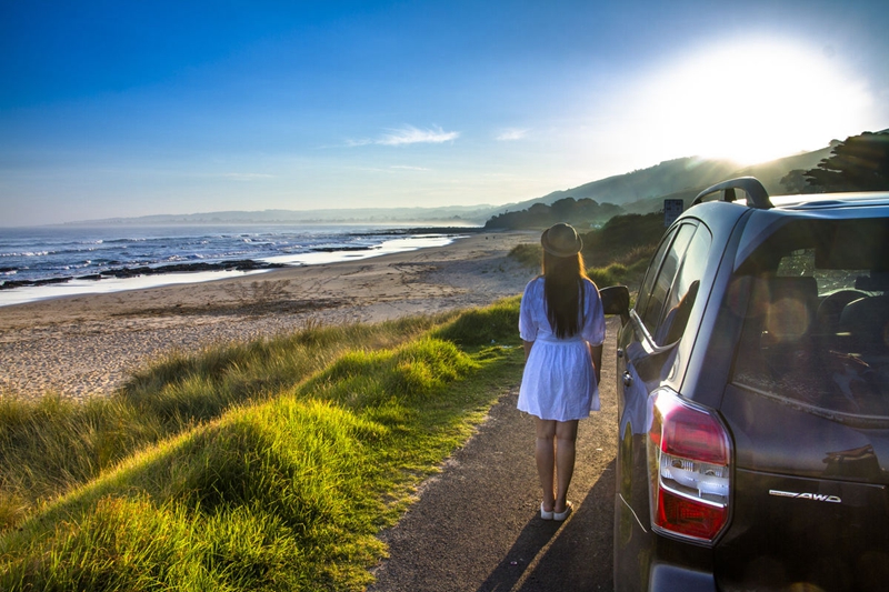 汽车金融发力,汽车金融以租代购