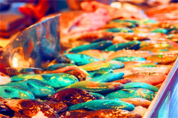 北纬18度温暖的冬季三亚之旅,北纬18度三亚旅游