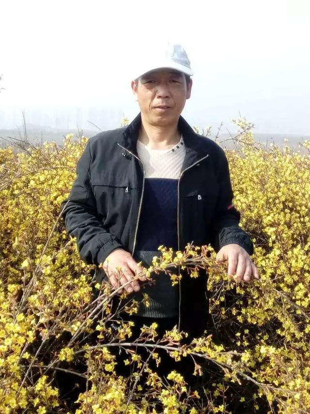 致高三学子的诗,新诗采撷