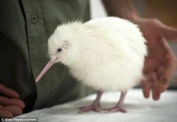 全球最适合3-18岁孩子旅游度假胜地