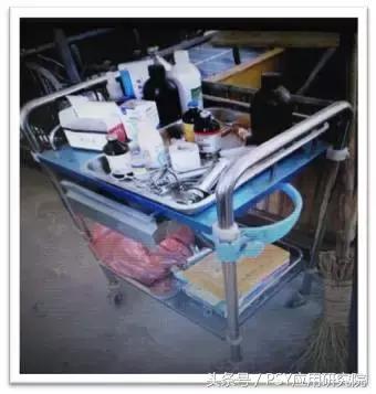 猪场发现丨自制小工具，让产房操作省心更省力