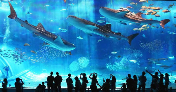 福州旅游攻略亲子游一日游,福州亲子旅游攻略必去十大景点