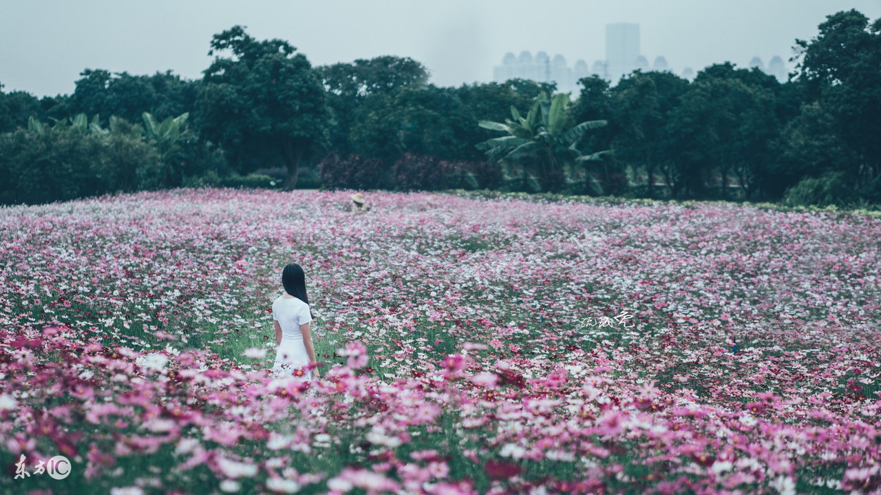 广州领展购物广场,广州荔湾区领展购物广场