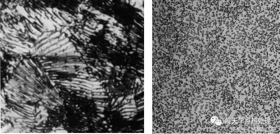 金相基础-辨识八种体
